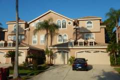Palm Harbor FL